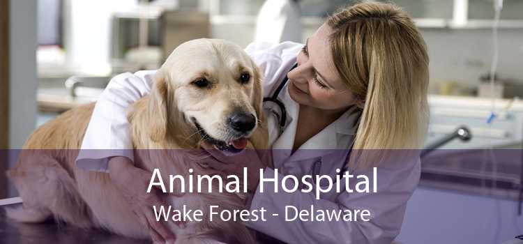 Animal Hospital Wake Forest - Delaware