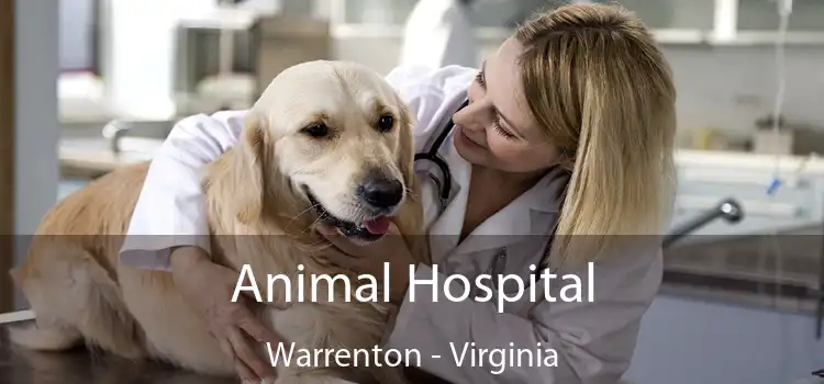 Animal Hospital Warrenton - Virginia