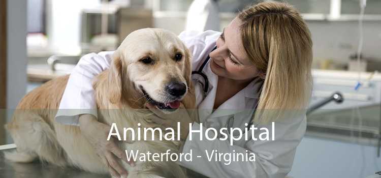 Animal Hospital Waterford - Virginia
