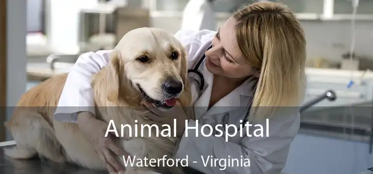 Animal Hospital Waterford - Virginia