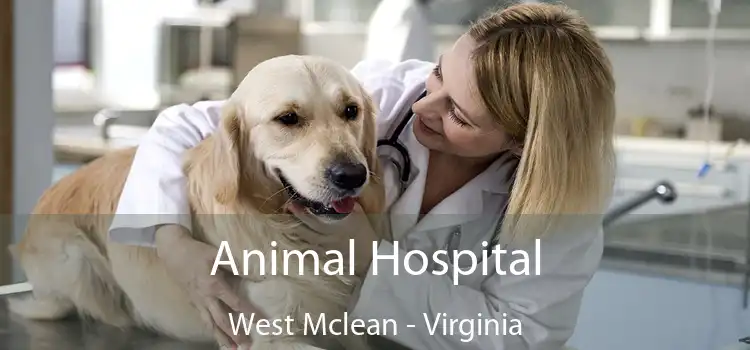 Animal Hospital West Mclean - Virginia