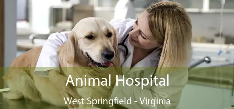 Animal Hospital West Springfield - Virginia