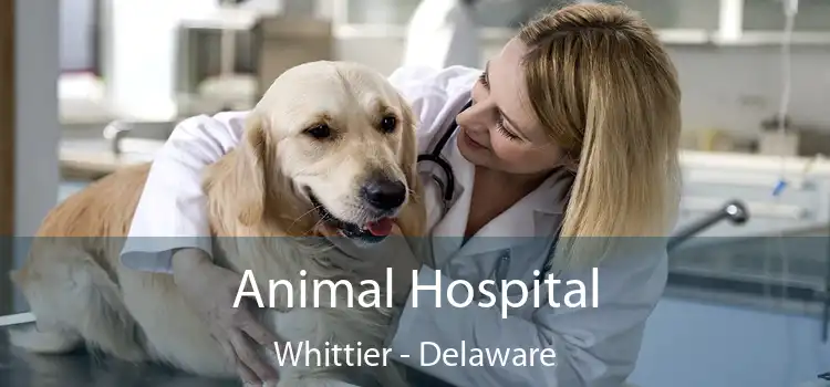 Animal Hospital Whittier - Delaware