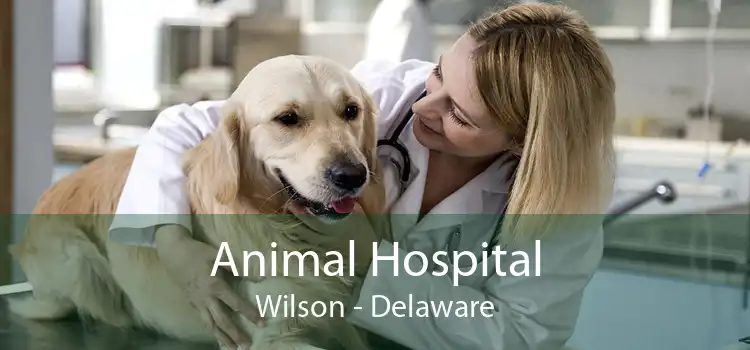 Animal Hospital Wilson - Delaware