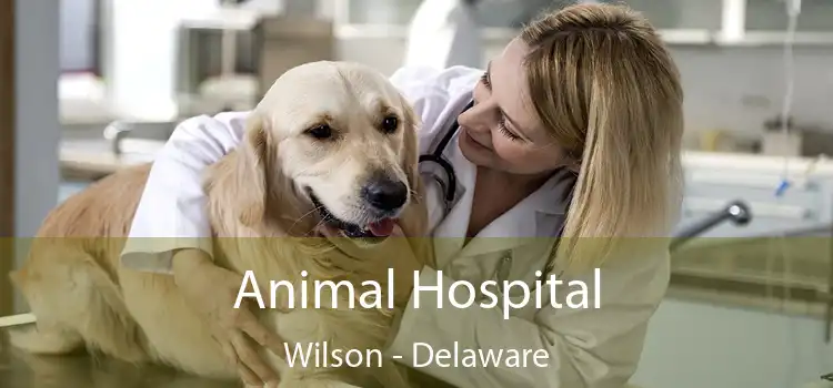 Animal Hospital Wilson - Delaware