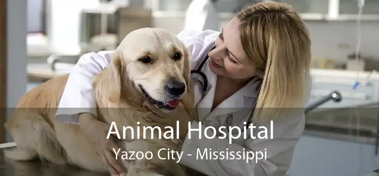 Animal Hospital Yazoo City - Mississippi