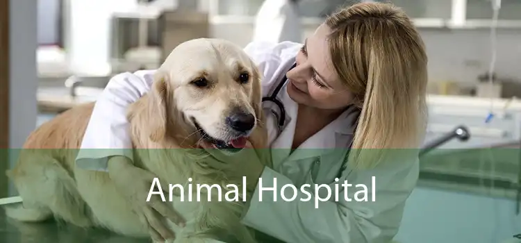 Animal Hospital 