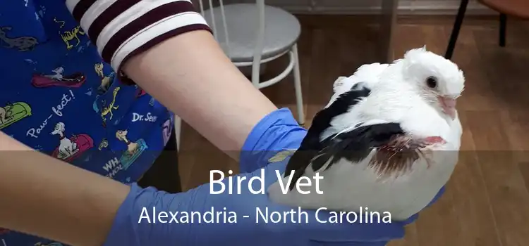Bird Vet Alexandria - North Carolina