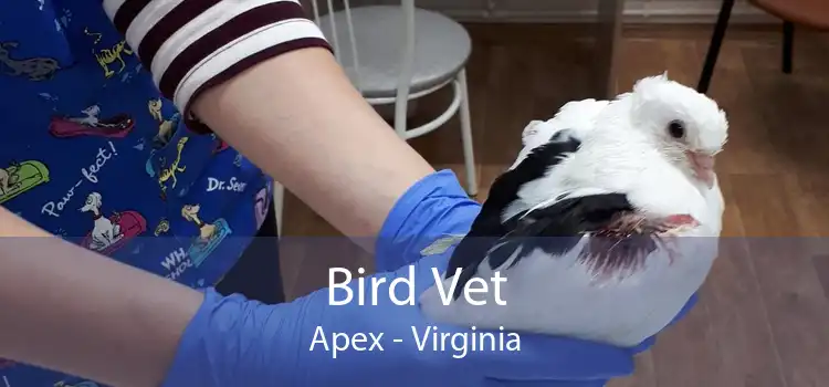 Bird Vet Apex - Virginia