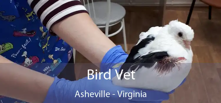 Bird Vet Asheville - Virginia