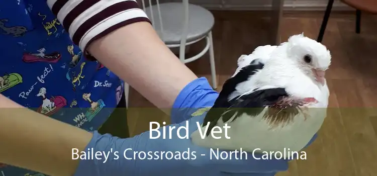 Bird Vet Bailey's Crossroads - North Carolina