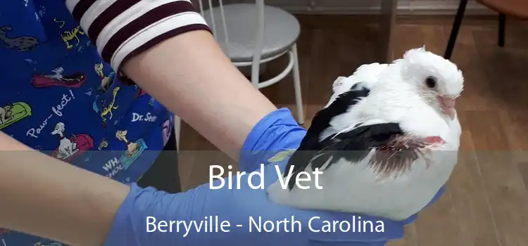 Bird Vet Berryville - North Carolina