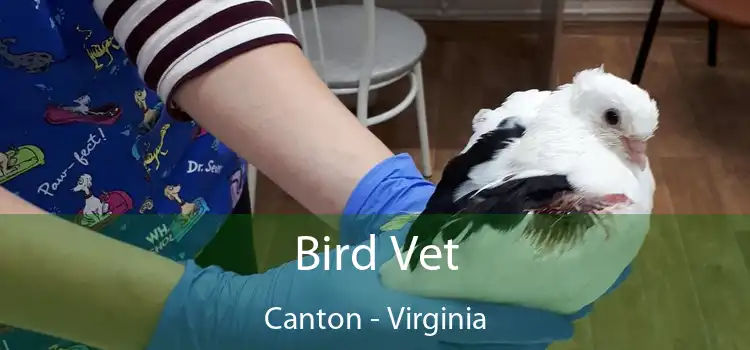 Bird Vet Canton - Virginia