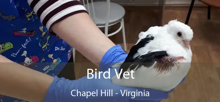 Bird Vet Chapel Hill - Virginia