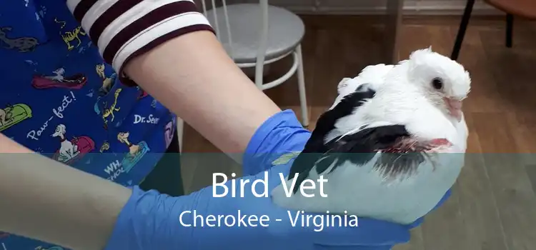 Bird Vet Cherokee - Virginia