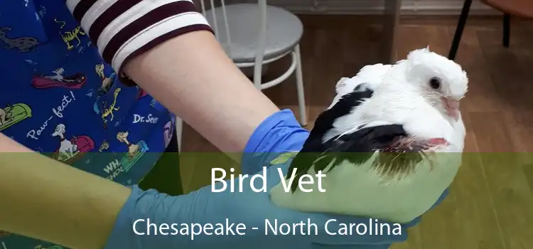 Bird Vet Chesapeake - North Carolina