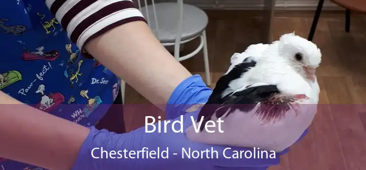 Bird Vet Chesterfield - North Carolina