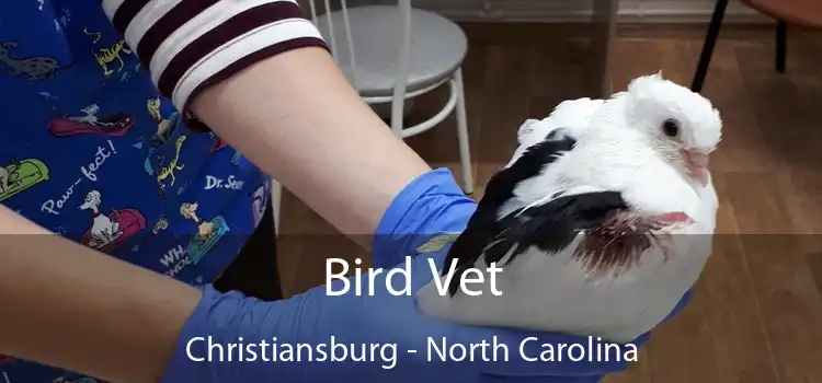 Bird Vet Christiansburg - North Carolina