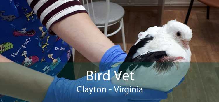 Bird Vet Clayton - Virginia