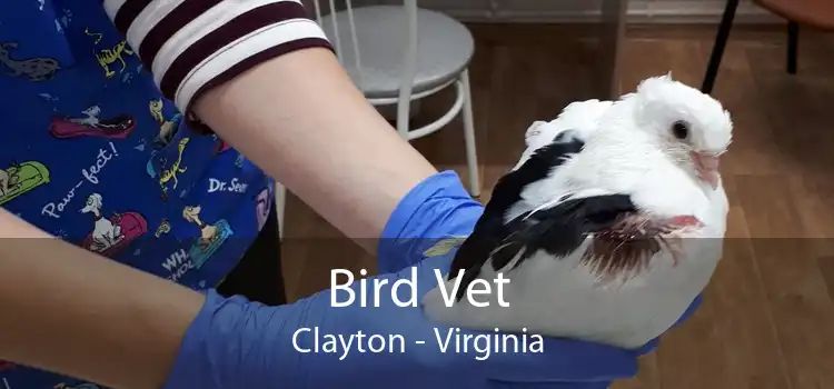 Bird Vet Clayton - Virginia