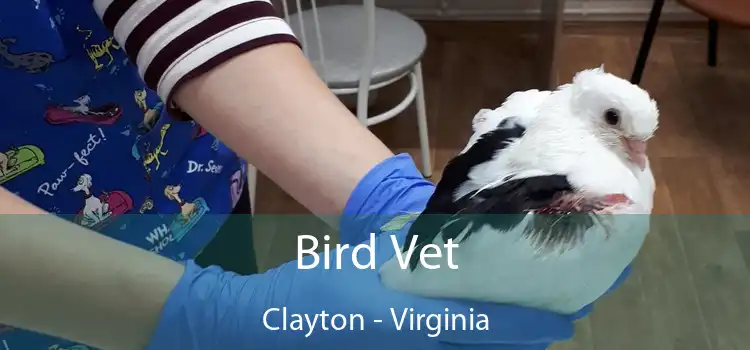 Bird Vet Clayton - Virginia