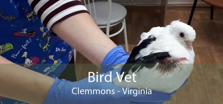 Bird Vet Clemmons - Virginia
