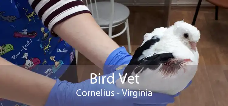 Bird Vet Cornelius - Virginia