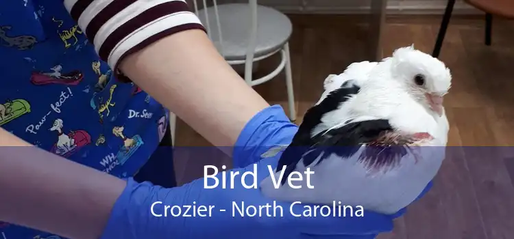 Bird Vet Crozier - North Carolina