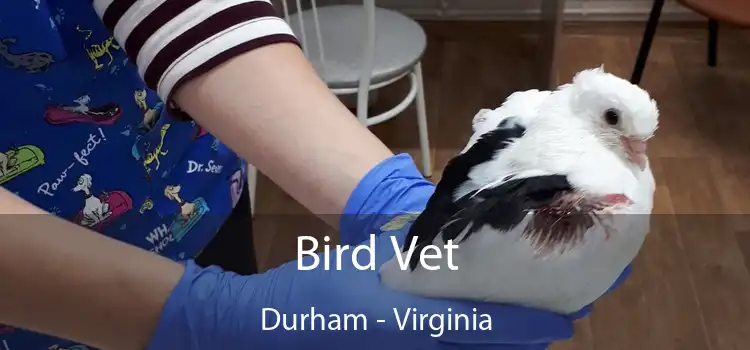 Bird Vet Durham - Virginia