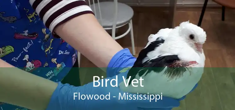 Bird Vet Flowood - Mississippi