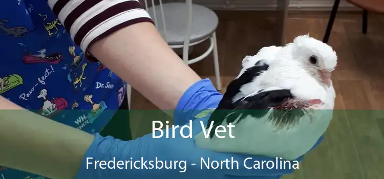 Bird Vet Fredericksburg - North Carolina