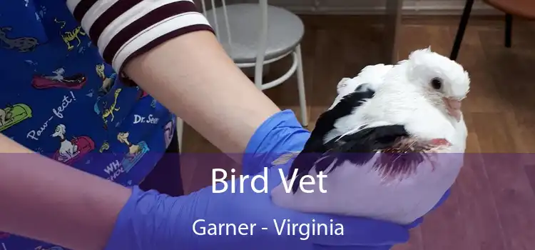 Bird Vet Garner - Virginia