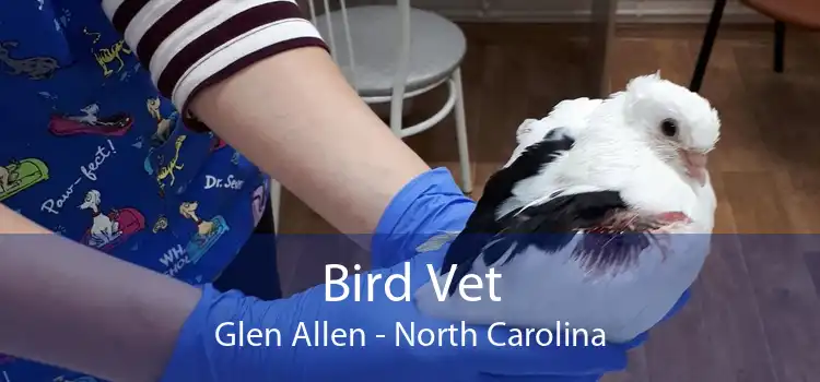 Bird Vet Glen Allen - North Carolina