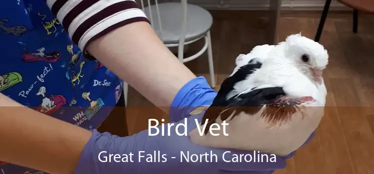 Bird Vet Great Falls - North Carolina