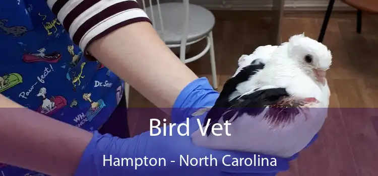 Bird Vet Hampton - North Carolina