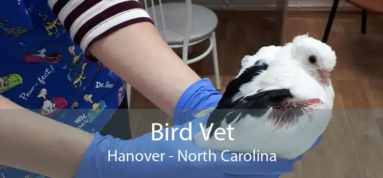 Bird Vet Hanover - North Carolina