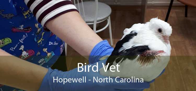 Bird Vet Hopewell - North Carolina