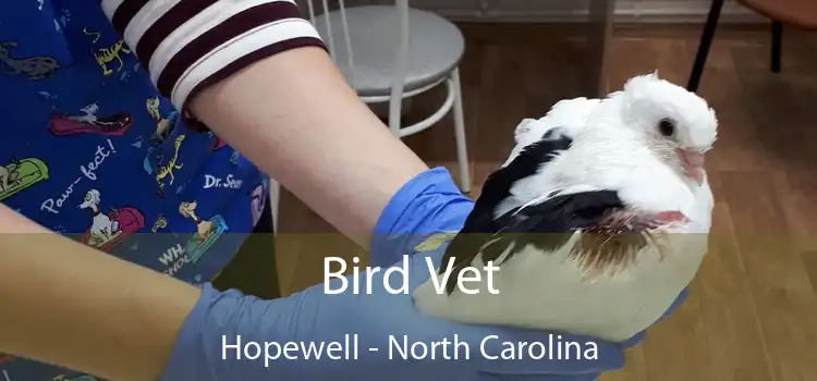 Bird Vet Hopewell - North Carolina