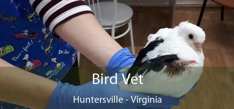 Bird Vet Huntersville - Virginia