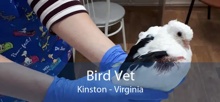 Bird Vet Kinston - Virginia