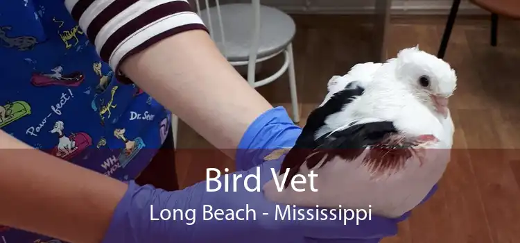 Bird Vet Long Beach - Mississippi
