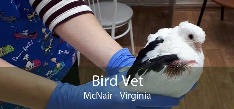 Bird Vet McNair - Virginia