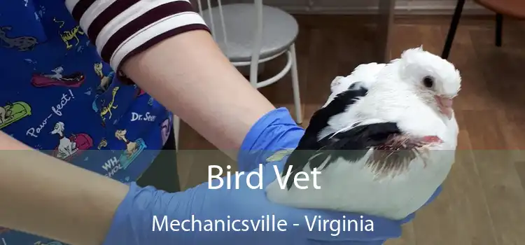 Bird Vet Mechanicsville - Virginia