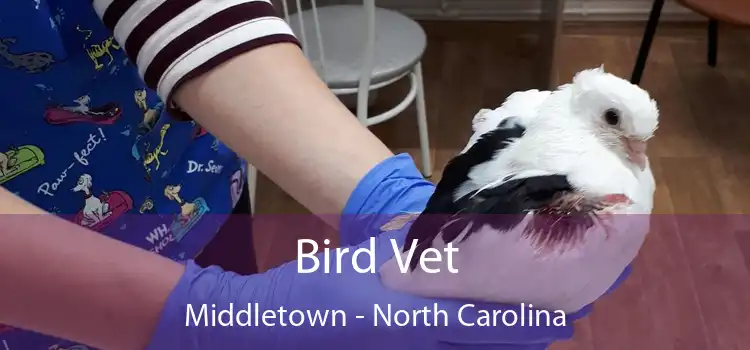 Bird Vet Middletown - North Carolina