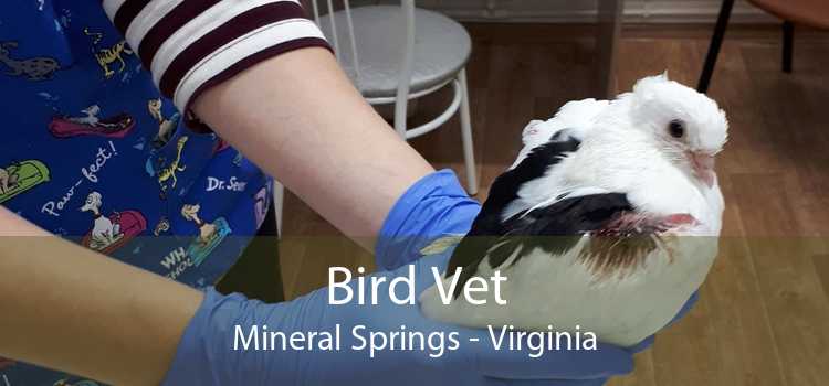 Bird Vet Mineral Springs - Virginia