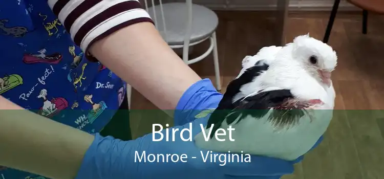 Bird Vet Monroe - Virginia