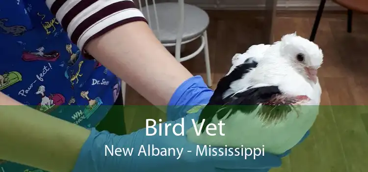 Bird Vet New Albany - Mississippi