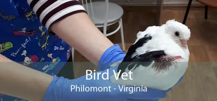 Bird Vet Philomont - Virginia