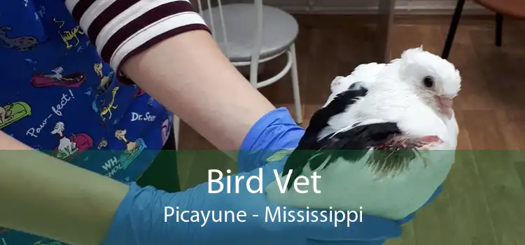 Bird Vet Picayune - Mississippi