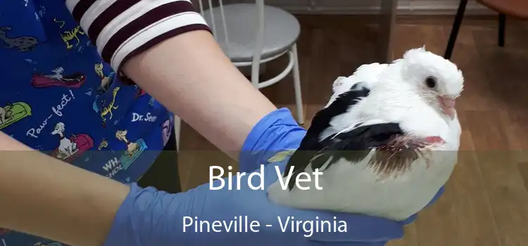 Bird Vet Pineville - Virginia